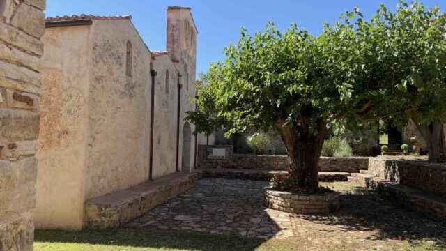 andromonastiro1 2